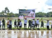 IMG-20250423-WA0048 IMG-20250423-WA0048