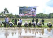 IMG-20250423-WA0049(1) IMG-20250423-WA0049(1)