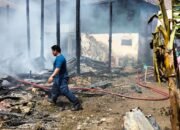 IMG-20250424-WA0092 IMG-20250424-WA0092