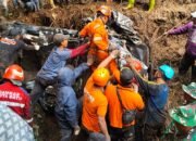 WhatsApp Image 2025-04-07 at 07.46.58