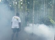 WhatsApp Image 2025-04-27 at 16.38.51 (1) WhatsApp Image 2025-04-27 at 16.38.51 (1)