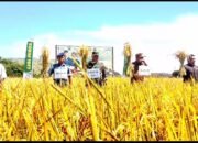 WhatsApp Image 2025-04-30 at 12.21.13 WhatsApp Image 2025-04-30 at 12.21.13