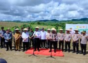 Kapolda Sulsel Dampingi Kapolri dan Mentan Panen Raya Jagung di Bone, Dukung Ketahanan Pangan Nasional