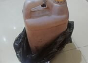 IMG-20250518-WA0031 IMG-20250518-WA0031