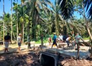 IMG-20250519-WA0096 IMG-20250519-WA0096