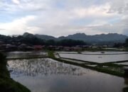 IMG-20250526-WA0205 IMG-20250526-WA0205