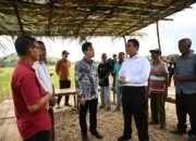 WhatsApp Image 2025-05-07 at 12.43.16