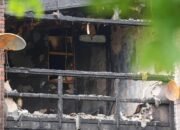 WhatsApp Image 2025-05-25 at 05.21.01_dad0e715