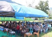 IMG-20250605-WA0049 IMG-20250605-WA0049