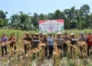 IMG-20250605-WA0057 IMG-20250605-WA0057