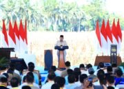 IMG-20250605-WA0081 IMG-20250605-WA0081