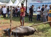 IMG-20250606-WA0100 IMG-20250606-WA0100