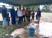 IMG-20250608-WA0043 IMG-20250608-WA0043