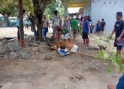 IMG-20250608-WA0045 IMG-20250608-WA0045