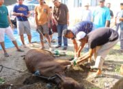 IMG-20250615-WA0048 IMG-20250615-WA0048