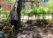 IMG-20250619-WA0119 IMG-20250619-WA0119