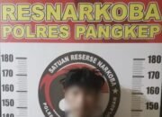 SAT RESNARKOBA POLRES PANGKEP UNGKAP KASUS PENYALAHGUNAAN NARKOTIKA DI WILAYAH KECAMATAN BUNGORO