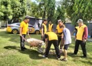 IMG-20250622-WA0071 IMG-20250622-WA0071