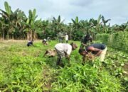 IMG-20250626-WA0083 IMG-20250626-WA0083