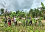 Kebersamaan TNI dan Warga, Satgas Yonif 131/Brajasakti Panen Sayur di Perbatasan Papua