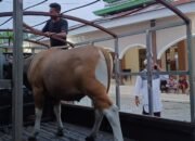 WhatsApp Image 2025-06-05 at 23.04.47_2f302e0a WhatsApp Image 2025-06-05 at 23.04.47_2f302e0a