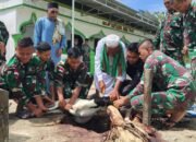 Kemanunggalan di Tapal Batas: Satgas Yonif 131/Brajasakti Berbagi Kebahagiaan Idul Adha Bersama Warga Papua