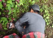 WhatsApp Image 2025-06-08 at 00.23.58_12b0db2f WhatsApp Image 2025-06-08 at 00.23.58_12b0db2f