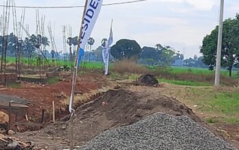 *Perumahan Rigel Residence Diduga Membangun Diatas LP2B, Dinas Pertanian Lakukan Pembiaran*