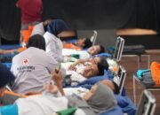 IMG-20250701-WA0150(1) IMG-20250701-WA0150(1)