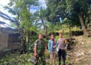Pohon Tumbang Menimpa Rumah Warga Tiga Pilar Desa Bulu Tellue Datangi TKP