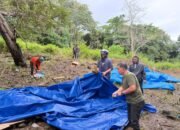 IMG-20250705-WA0135 IMG-20250705-WA0135