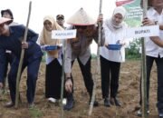 IMG-20250709-WA0168 IMG-20250709-WA0168