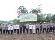 IMG-20250709-WA0174 IMG-20250709-WA0174