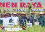 Panglima TNI Pimpin Panen Raya Padi di Lahan Ketahanan Pangan Kodam I/BB Deli Serdang