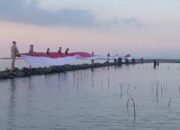 IMG_20250728_104332 IMG_20250728_104332