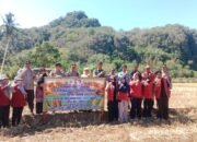 Polsek Balocci Bersinergi Tanam Jagung Hibrida Dukung Swasembada Pangan 2025