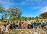 Bhabinkamtibmas Labakkang Bersama Kelompok Tani Sipatiwo Gelar Panen Jagung di Bara Batu