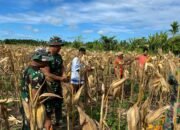 IMG-20250827-WA0022 IMG-20250827-WA0022