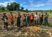 IMG-20250827-WA0027 IMG-20250827-WA0027