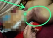 IMG_20250820_094438 IMG_20250820_094438