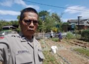 Bhabinkamtibmas desa kabba bersama Penyuluh pertanian Monitoring pekarangan pangan bergizi (P2B)