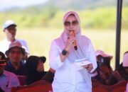 Bupati Barru Sambut Dirjen Otda dan YSPN, Canangkan Budidaya Padi Unggul 100 Hektare