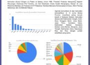 Barru Raih Peringkat Pertama Nasional dalam Amplifikasi Komunikasi Pemerintah Kabupaten/Kota