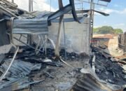 IMG-20251003-WA0061(1) IMG-20251003-WA0061(1)