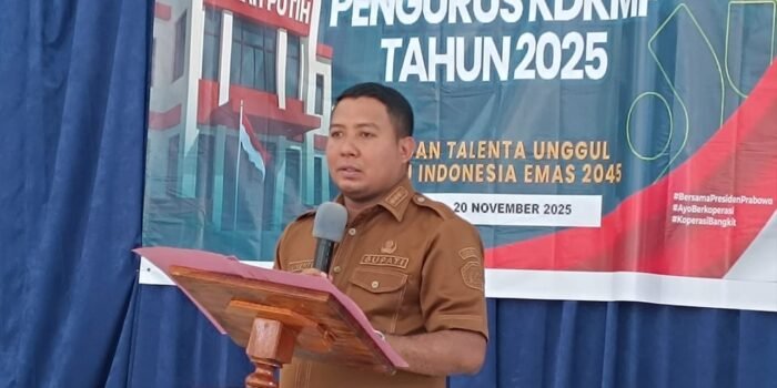 WhatsApp Image 2025-11-18 at 21.49.09_2b2db633