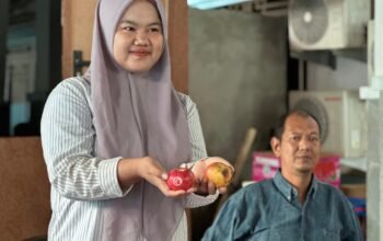 Beredar Video Buah Tidak Layak, SPPG Tumampua Tegaskan Bukan dari Paket Distribusi Resmi