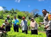 Bhabinkamtibmas Desa Tompo Bulu Dampingi Kadis Pertanian Monitoring Tanaman Pertanian dan Perkebunan Warga