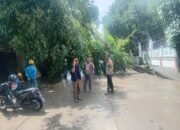 Pohon Tumbang di Depan Kantor Kemenag Pangkep PLN Bergerak Cepat Amankan Jaringan