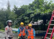 Pohon Tumbang Timpa Tiang Listrik, Polsek Balocci Bersinergi Lakukan Evakuasi