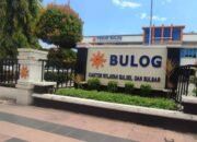 Polda Sulsel Hadir di Lahan Petani, Bulog Gandeng Polri Serap Jagung 306,85 Ton